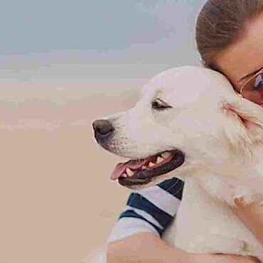 Köpeğinizin Düşünce Yapısı